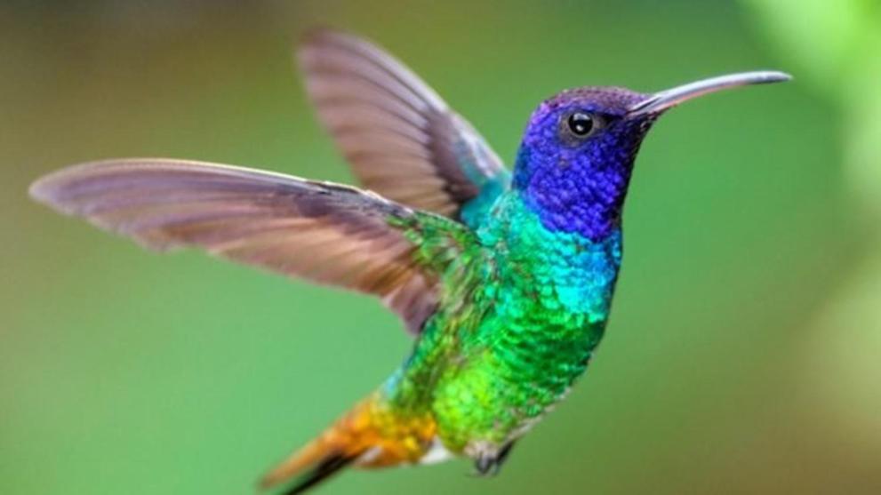 Апартаменты Colibri Плая-дель-Кармен Экстерьер фото